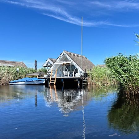 רוסט Seehuette Neusiedlersee - Seehaus Inklusive Elektroboot מראה חיצוני תמונה